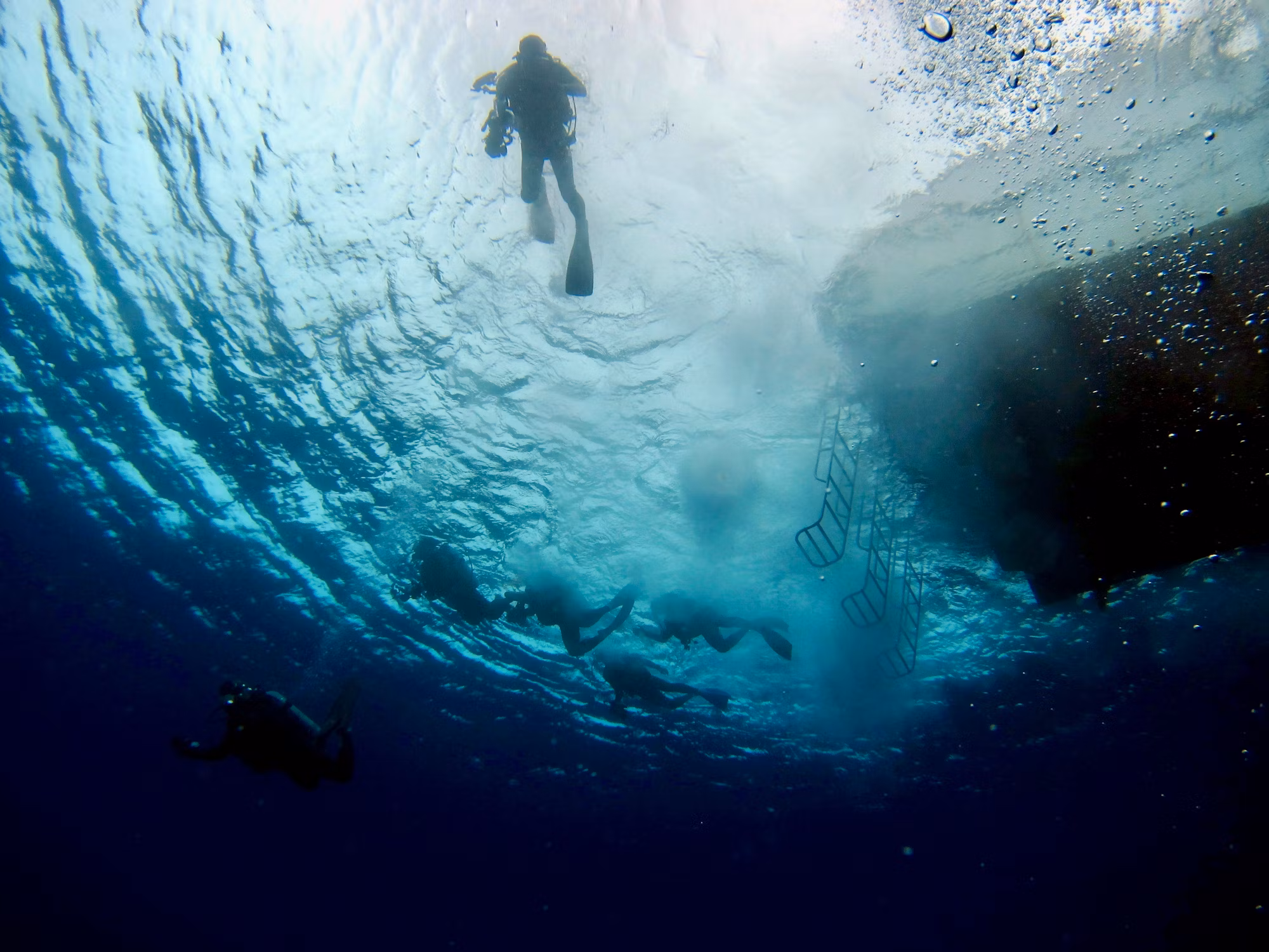 A Journey Through the Underwater World: Discovering the Art of Diving
