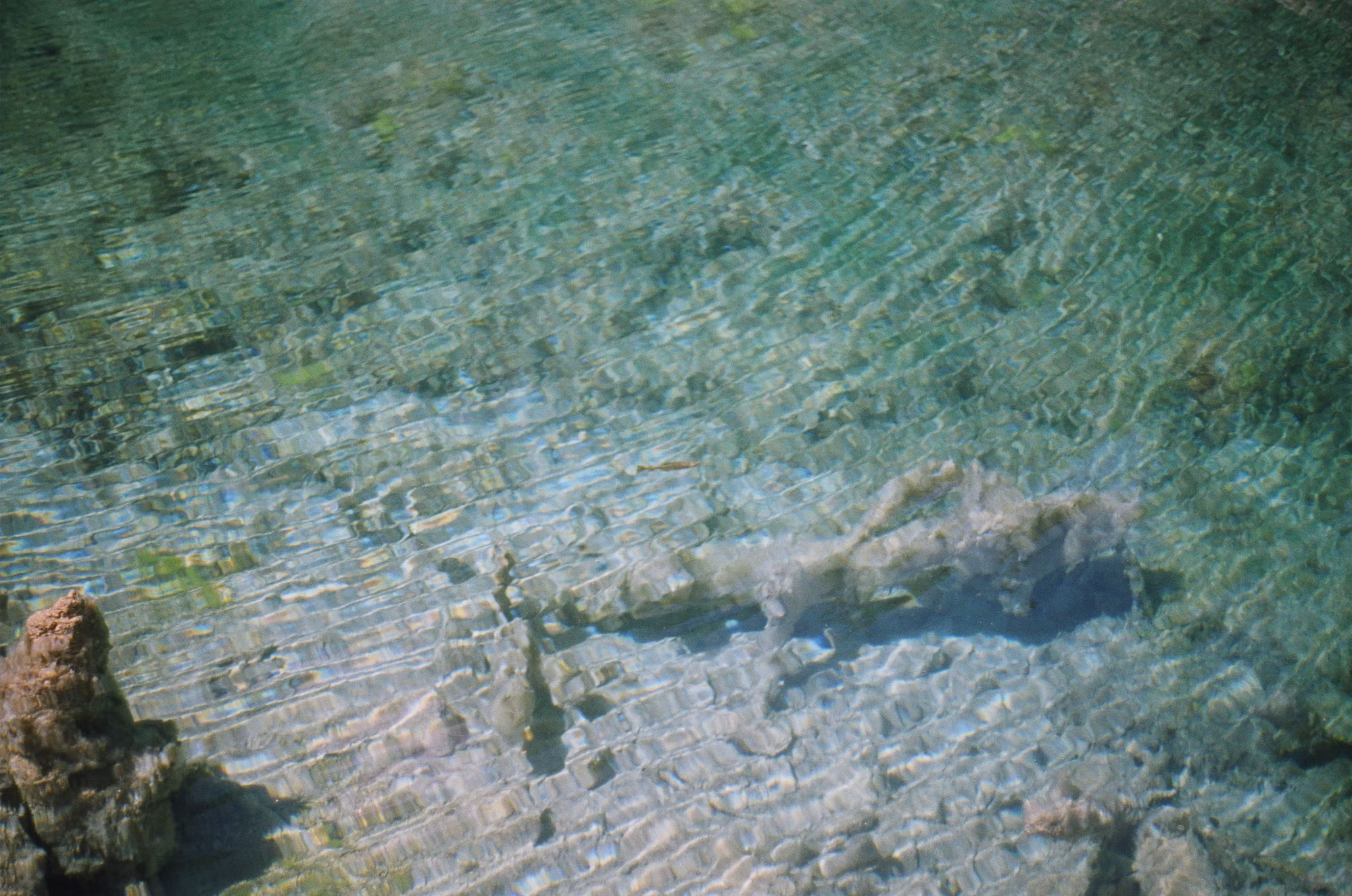 Beneath the Waves: A Journey Through the World of Diving